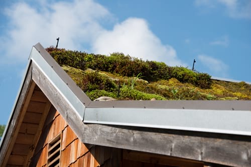 Replacement fascias & soffits: guide to the best alternatives available