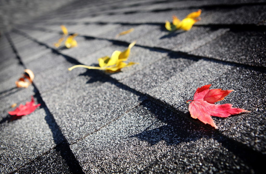 Roof maintenance guides - how to get your roofing ready for Autumn in Surrey