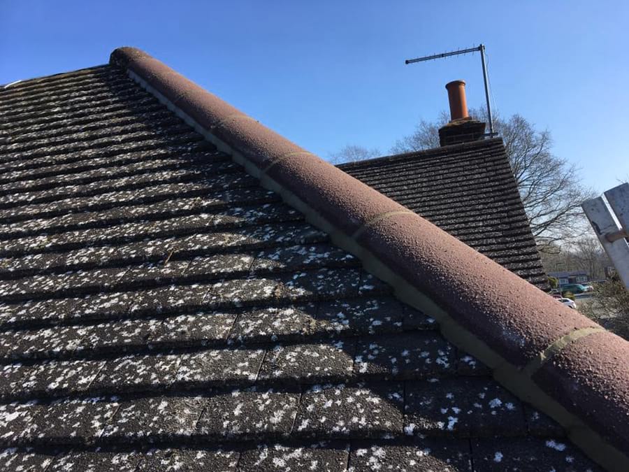 Professional roofing guides - how to know if your roofline is damaged